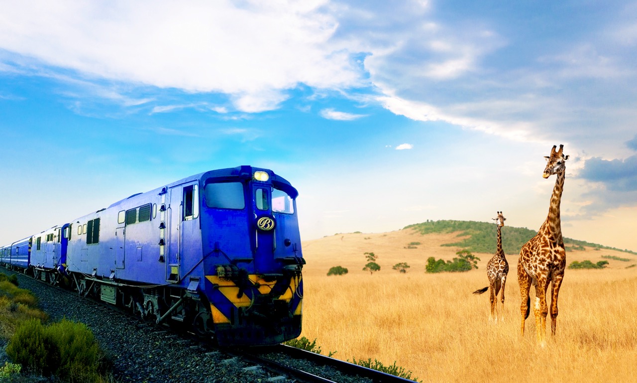 Imagine Cruising Hero Image 3